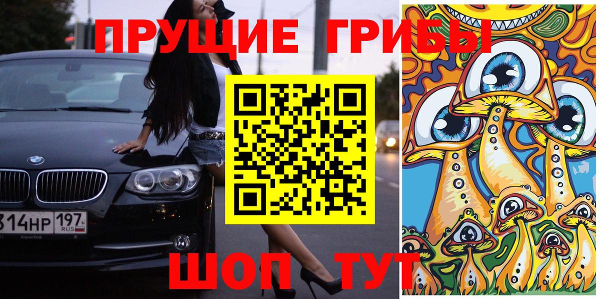 Галлюциногенные грибы Psilocybe Кисловодск