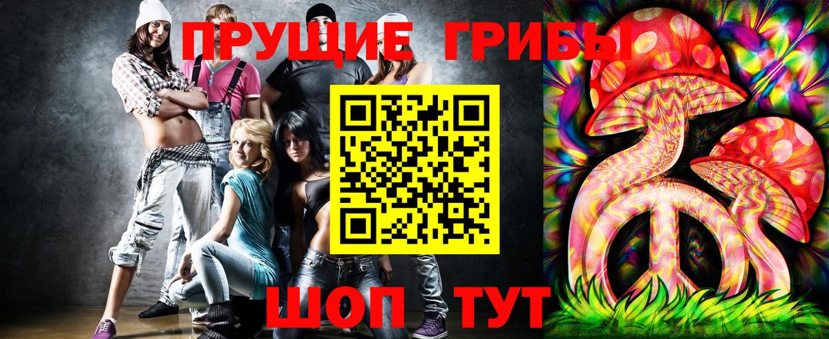 Галлюциногенные грибы мухоморы  купить наркоту  Галлюциногенные грибы MAGIC MUSHROOMS  Кисловодск  Вход с VPN 